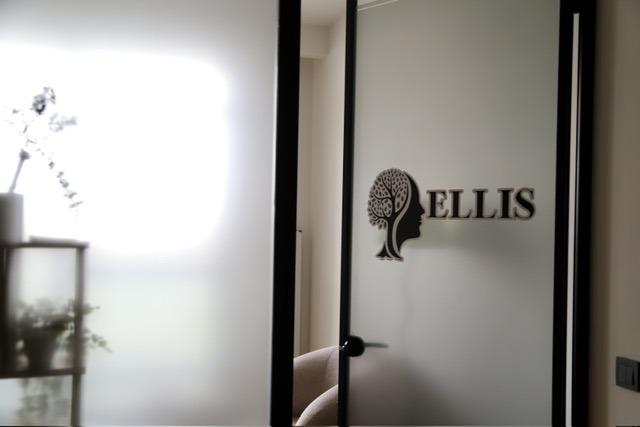 Ellis Danışmanlık görüşme ortamı