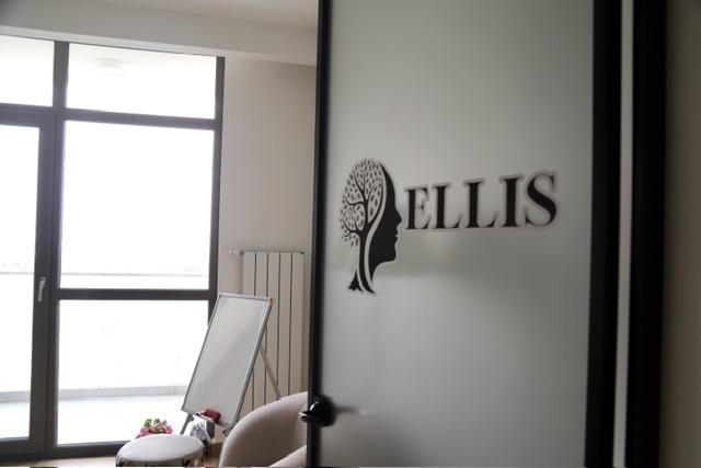 Ellis Danışmanlık görüşme ortamı